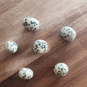 Dalmation Jasper