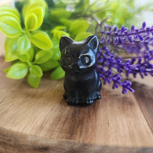 Mini Kitty Cats