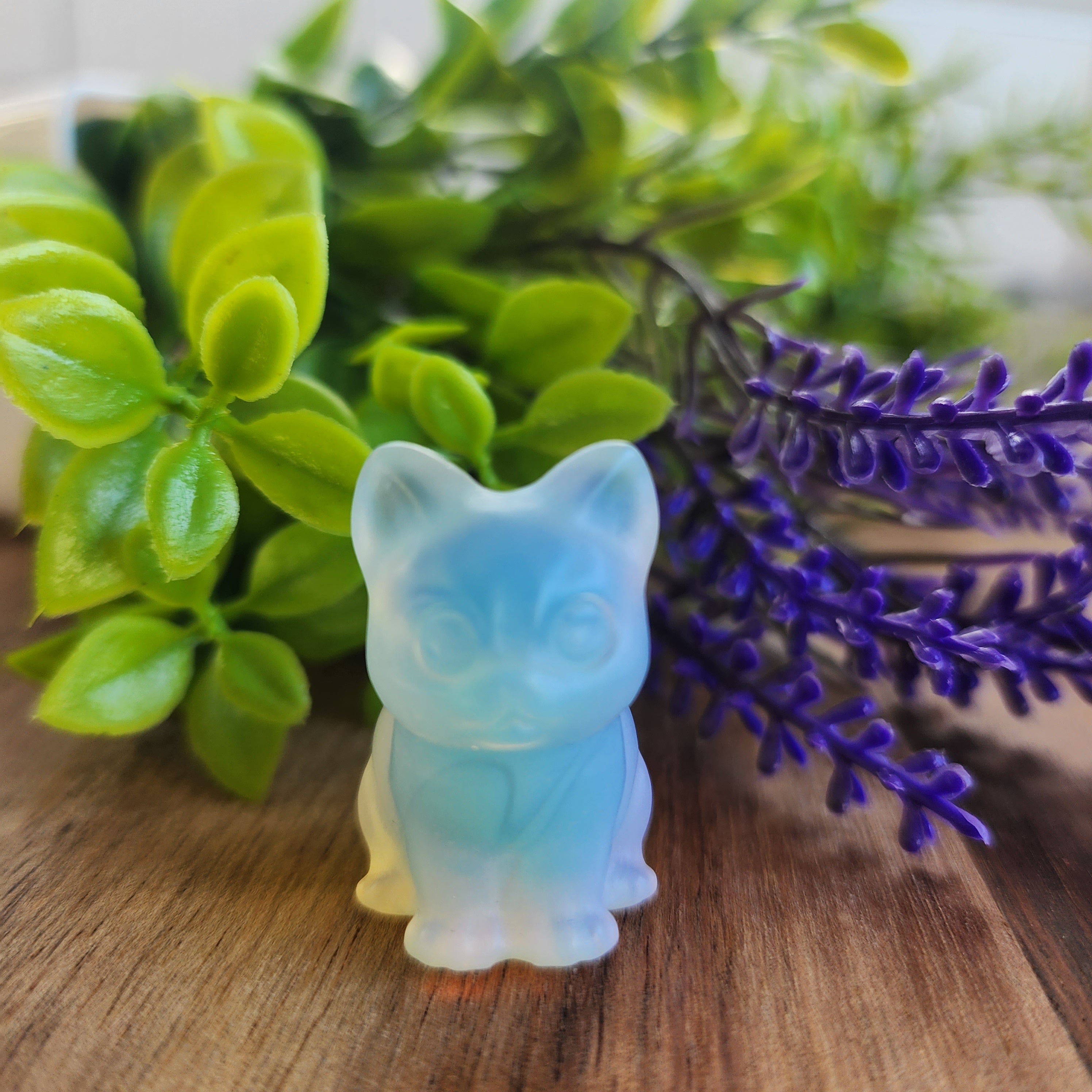 Mini Kitty Cats