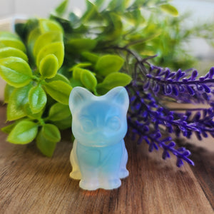 Mini Kitty Cats