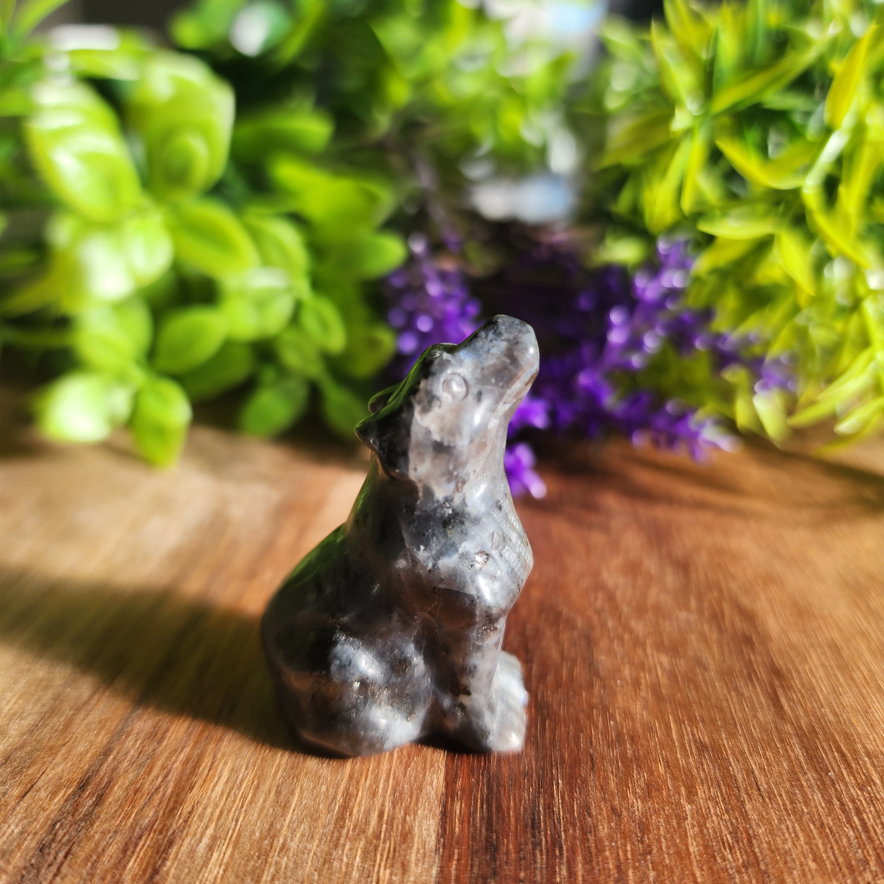 Mini Wolves