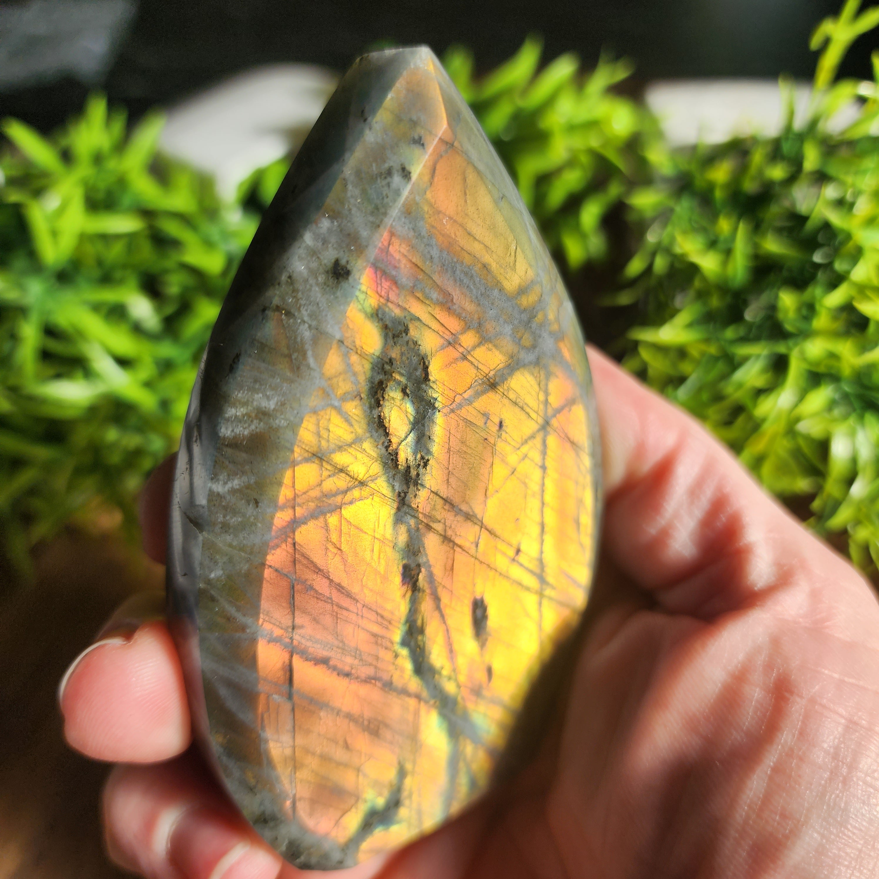 Labradorite Freeform