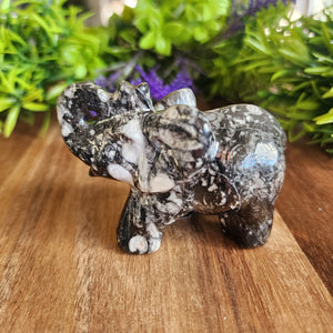 Fossil Agate Elephant