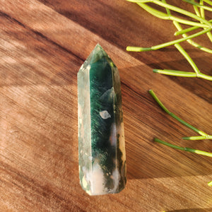 Moss Agate Points