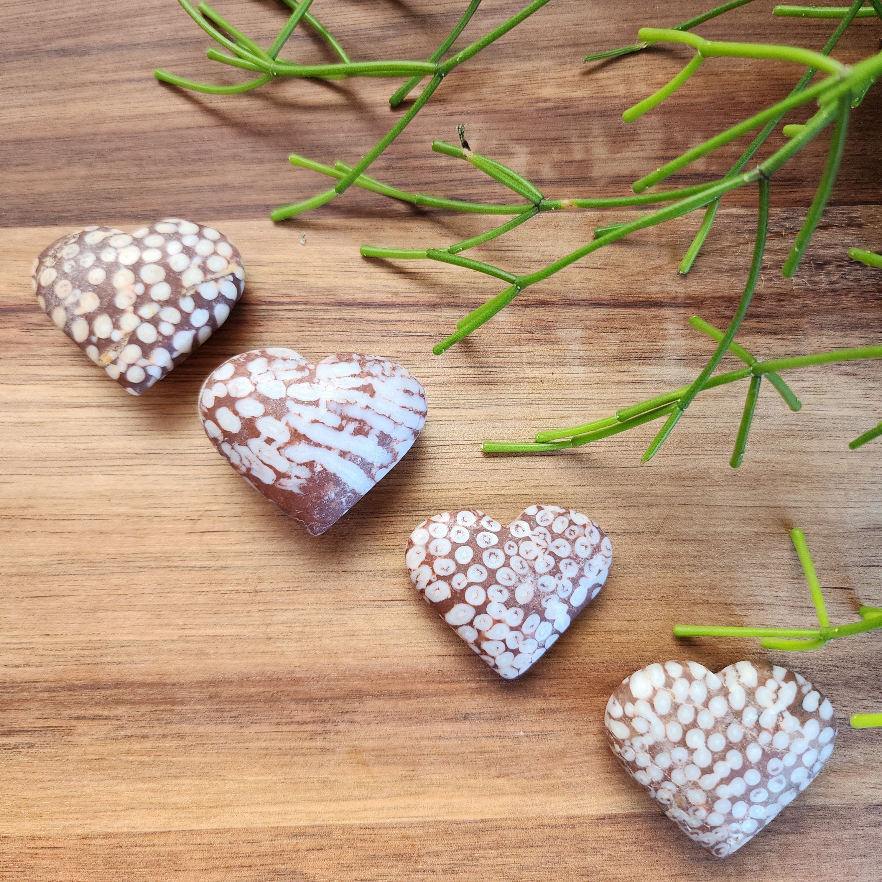 Coral Jasper Hearts