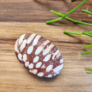 Coral Jasper Palmstones