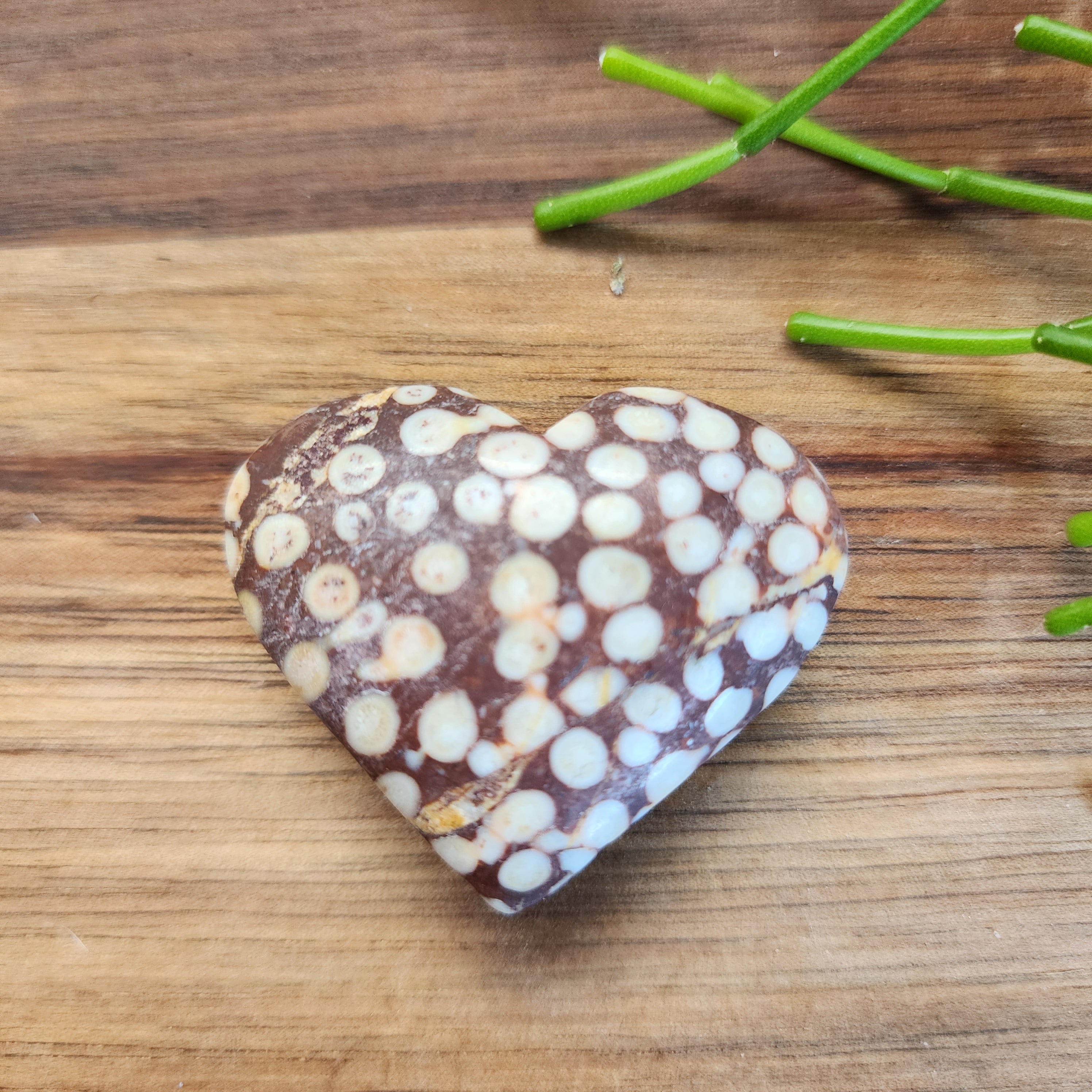 Coral Jasper Hearts