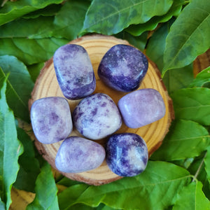 Lepidolite Tumbles