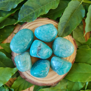 Amazonite Tumbles